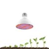 Lampara Luz Led Crecimiento 30 W Cultivo Plantas Indoor (200 LED)